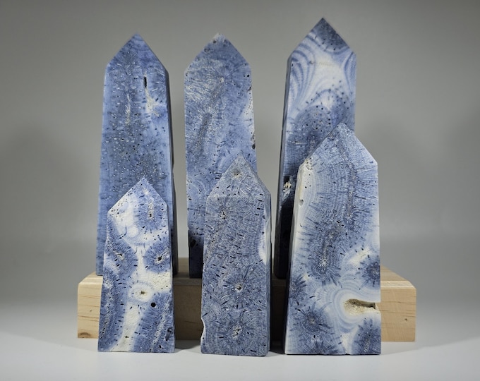 You Choose Blue Ridge Fossilized Coral Tower