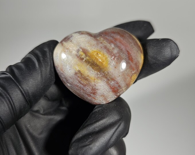 Petrified Wood Heart Carving