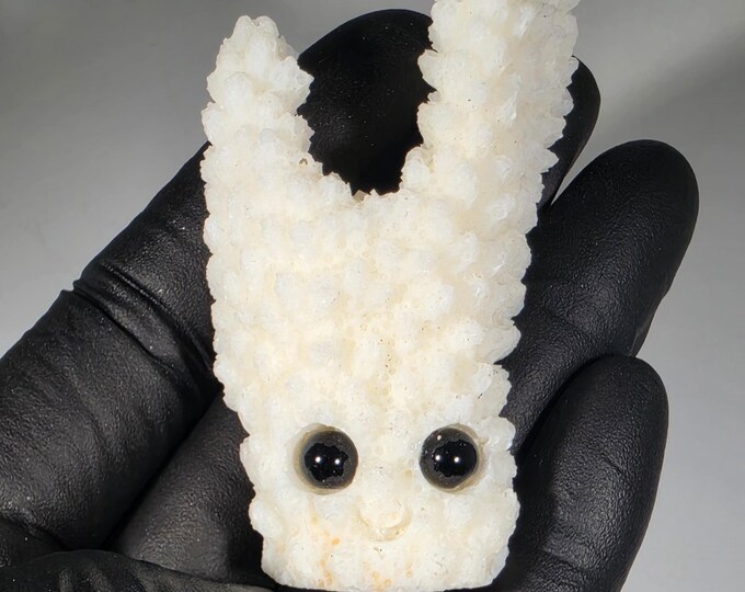 Skeletal Coral Pet Rock Carving