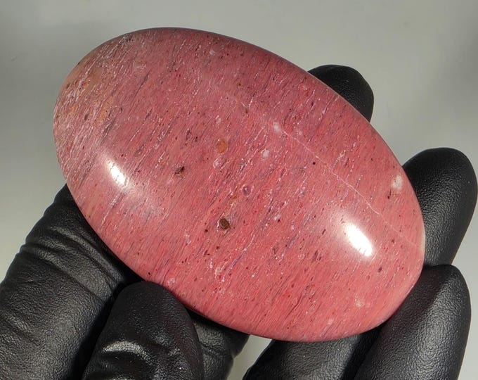 Pink Petrified Wood Palm Stone