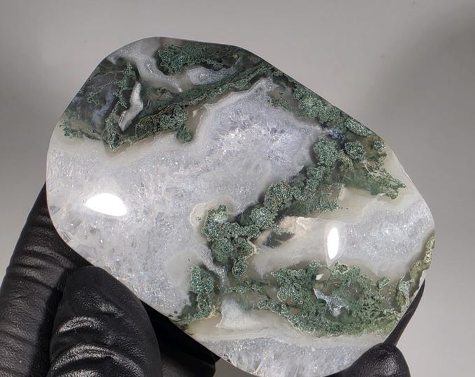 Moss Agate Palm Stone