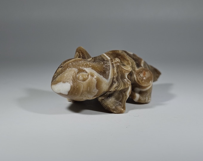 Amber Calcite Axolotl Carving