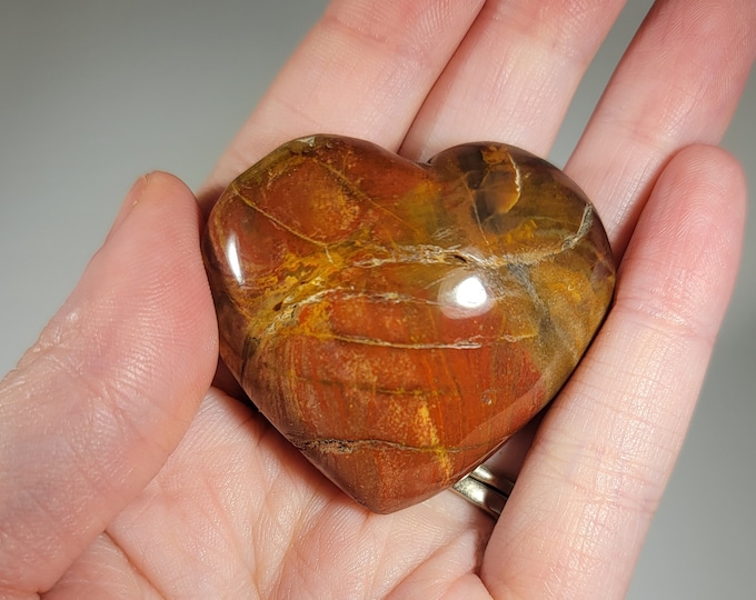 Petrified Wood Heart Carving