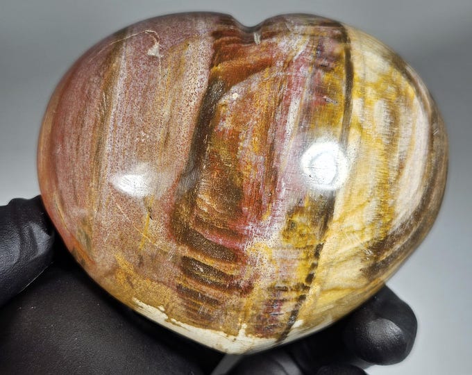 Petrified Wood Heart Carving