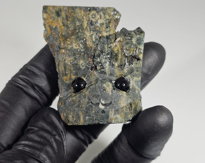 Ocean Jasper Pet Rock Carving