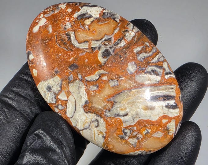 Money Agate Palm Stone