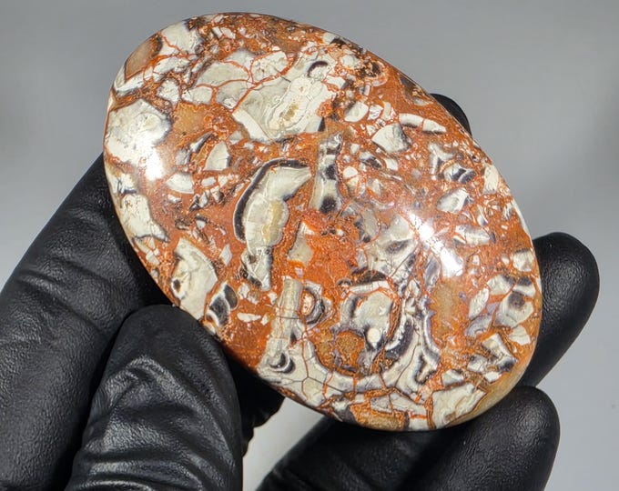 Money Agate Palm Stone