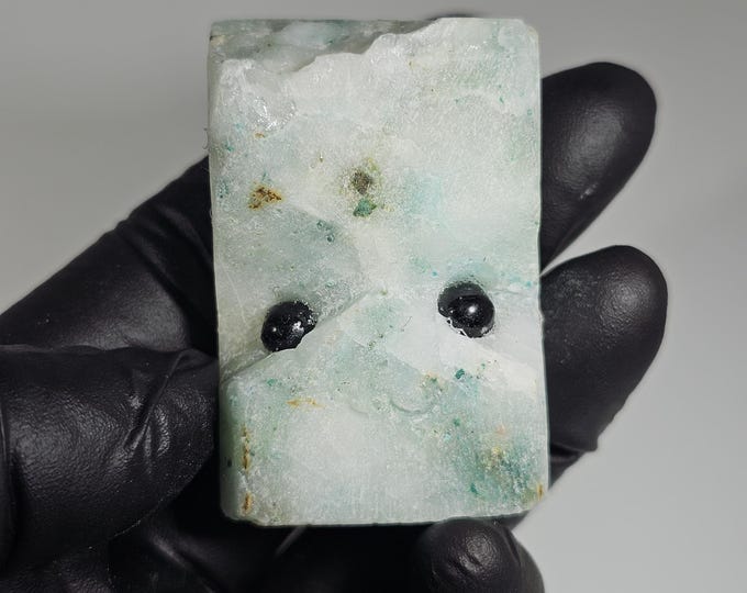 Phoenix Stone Pet Rock Carving Chrysocolla in Quartz