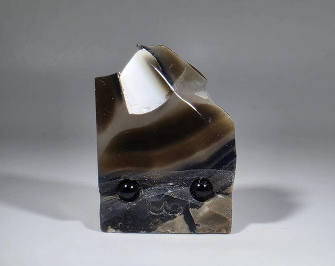 Volcano Agate Pet Rock Carving