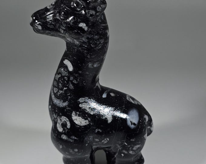 Fossilized Crinoid Giraffe Carving