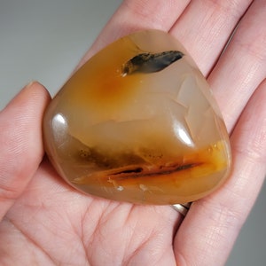 Dendritic Agate Palm Stone