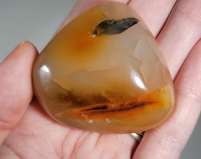 Dendritic Agate Palm Stone
