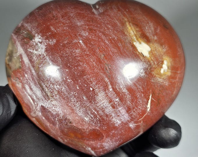 Petrified Wood Heart Carving