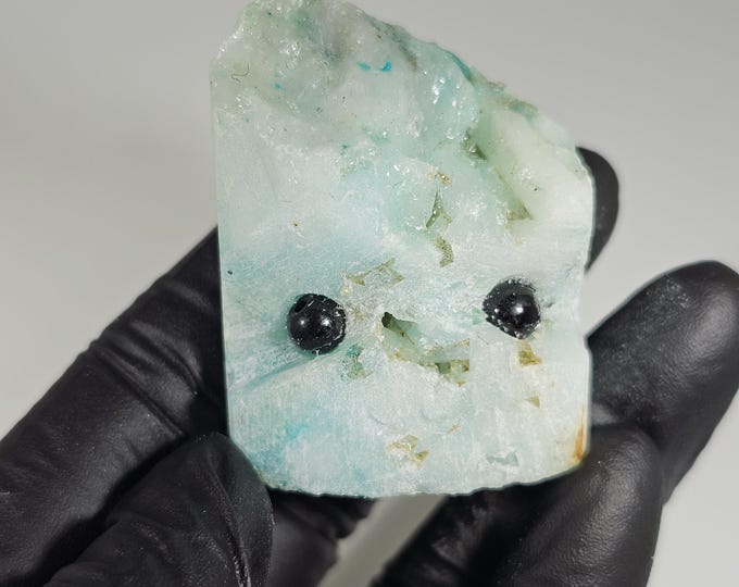 Phoenix Stone Pet Rock Carving Chrysocolla in Quartz