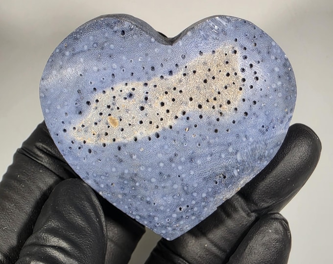 Blue Ridge Coral Fossil Heart Stone