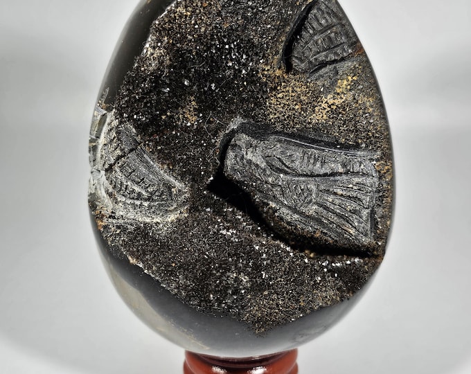 Septarian Egg with Dragon