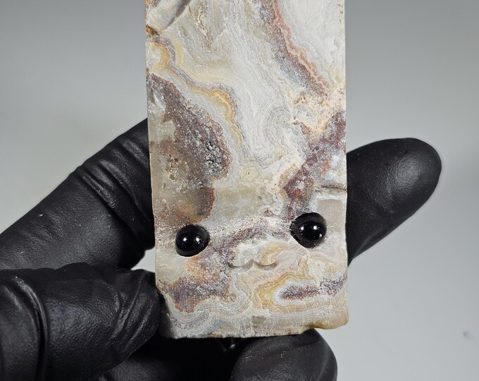 Mexico Crazy Lace Agate Pet Rock Carving