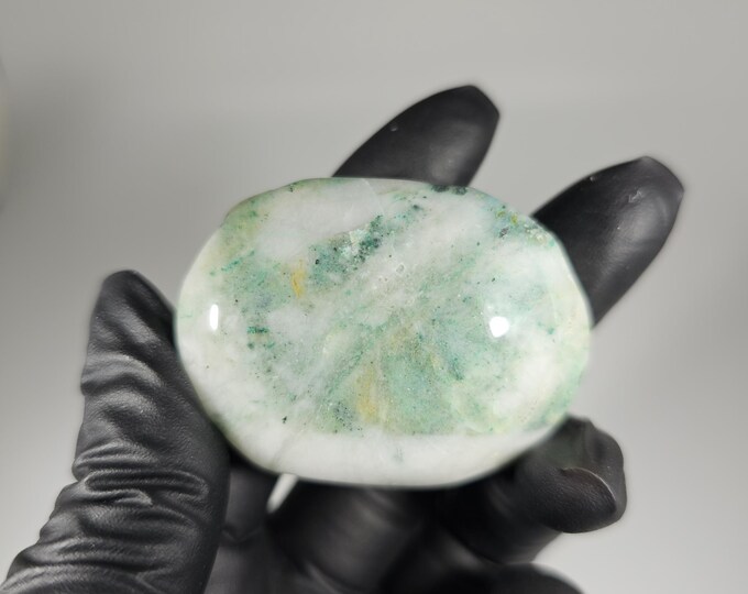 Phoenix Stone Palm Stone