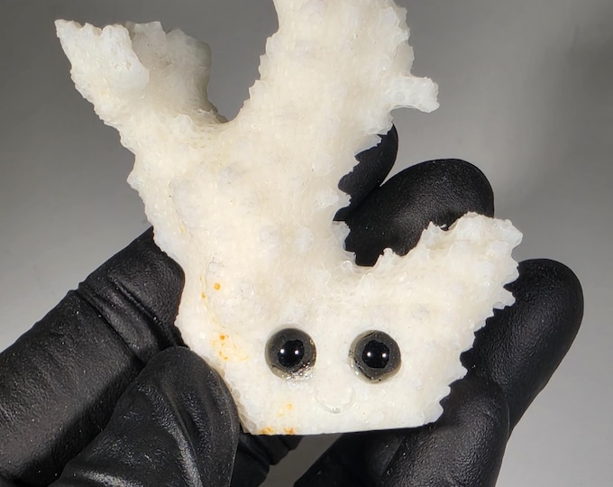 Skeletal Coral Pet Rock Carving