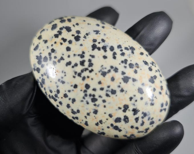 Dalmatian Jasper Palm Stone