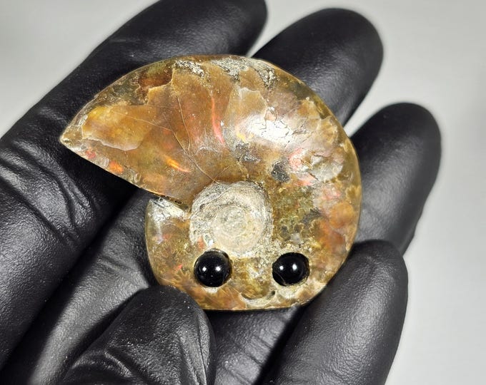 Opalized Ammonite Pet Rock Carving