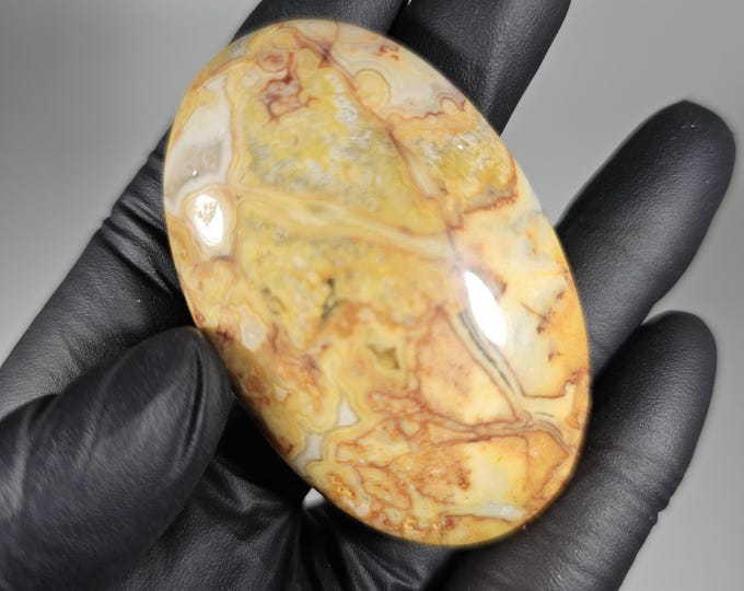 Crazy Lace Agate Palm Stone