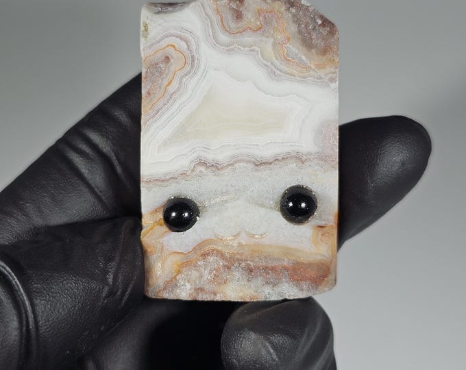 Mexico Crazy Lace Agate Pet Rock Carving