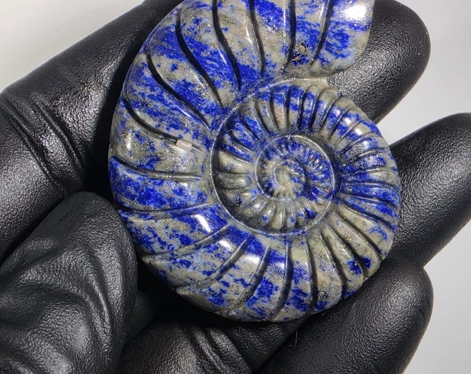 Lapis Lazuli Ammonite Carving