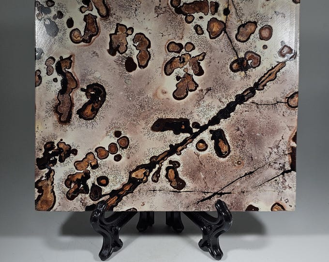 Picture Jasper Slab