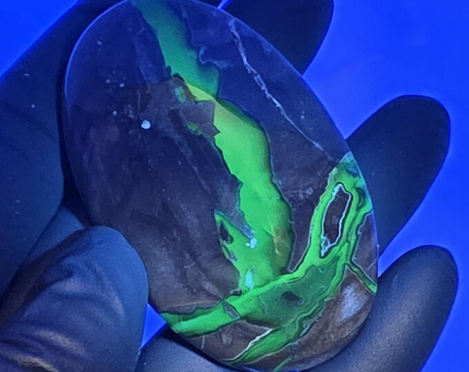 Volcano Agate Palm Stone UV Reactive