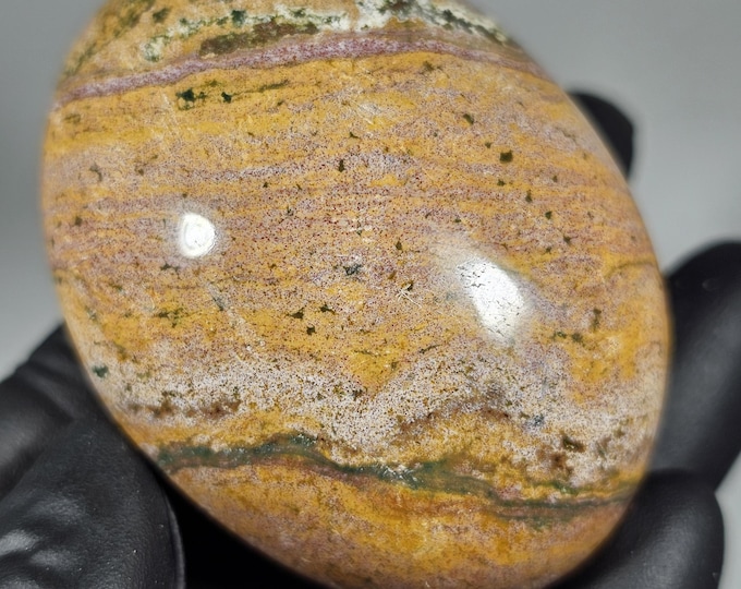 Colorful Ocean Jasper Palm Stone