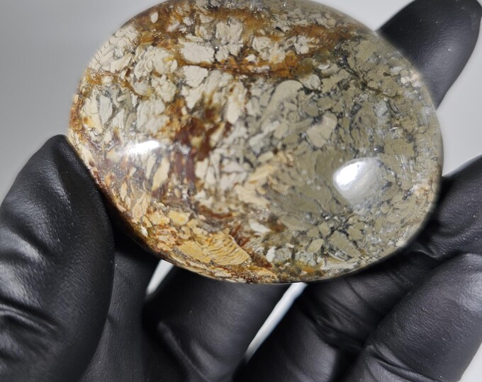 Ibis Agate Palm Stone