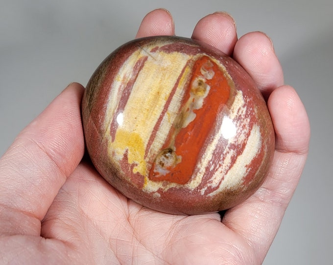 Petrified Wood Palm Stone