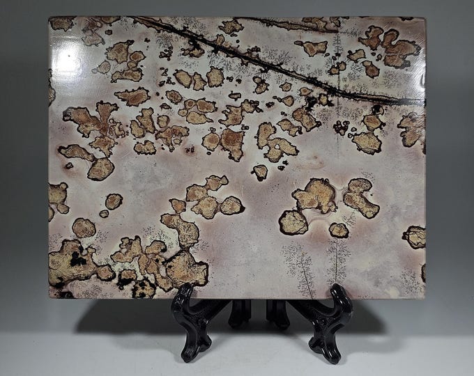 Picture Jasper Slab