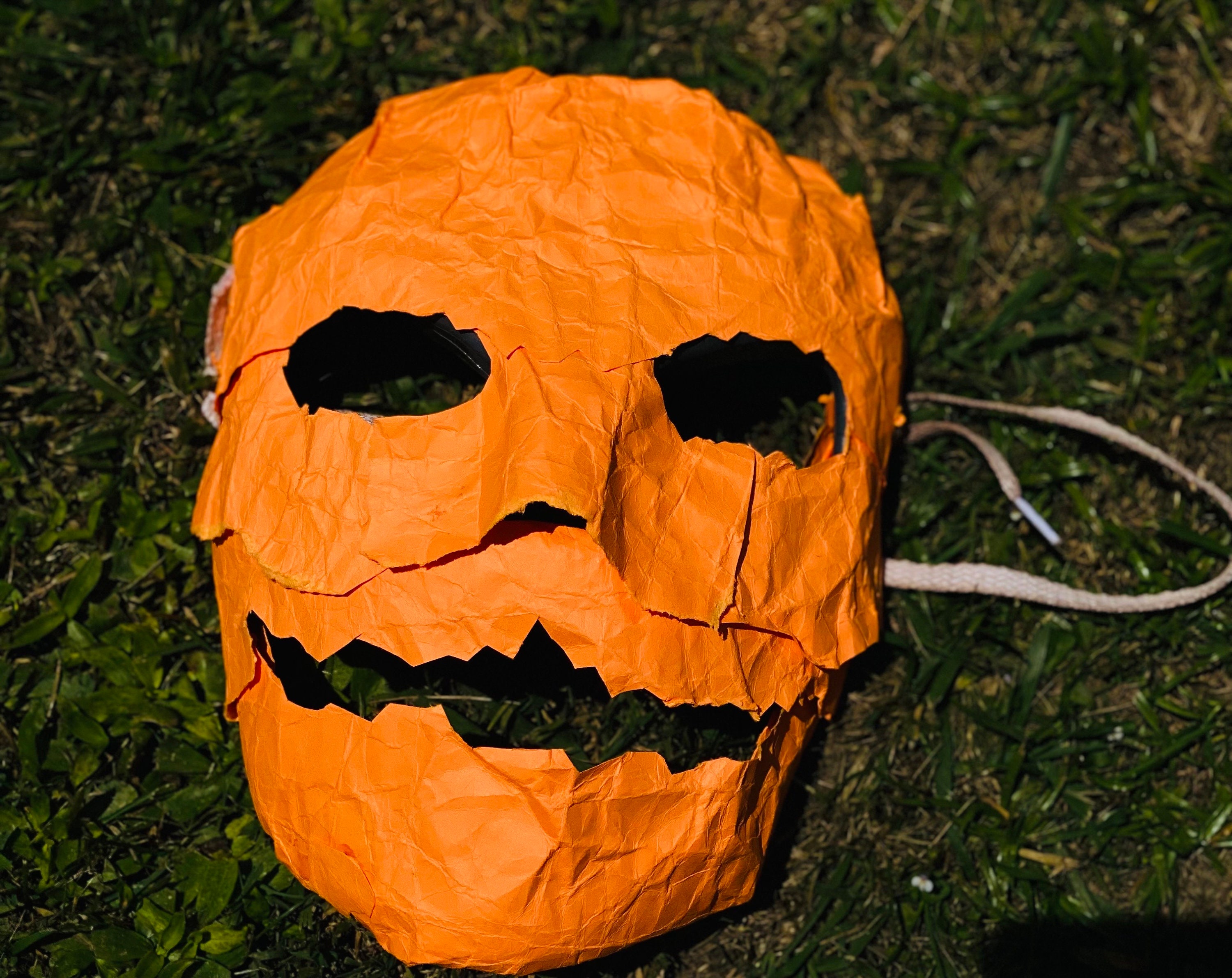 Michael Myers Rob Zombie Halloween 2007 Lot of 2 Papiermâché Horror