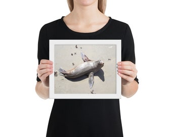 Framed Photograph - California Sea Lion - California Photo - Fisherman's Wharf Photography - Sea Life Beach Print - Monterey Bay Wall Art