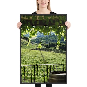 Framed Photograph - California Wine Country Vineyard Landscape - Winery Print - Monterey County Vineyard Photography - Grapevine Wall Art