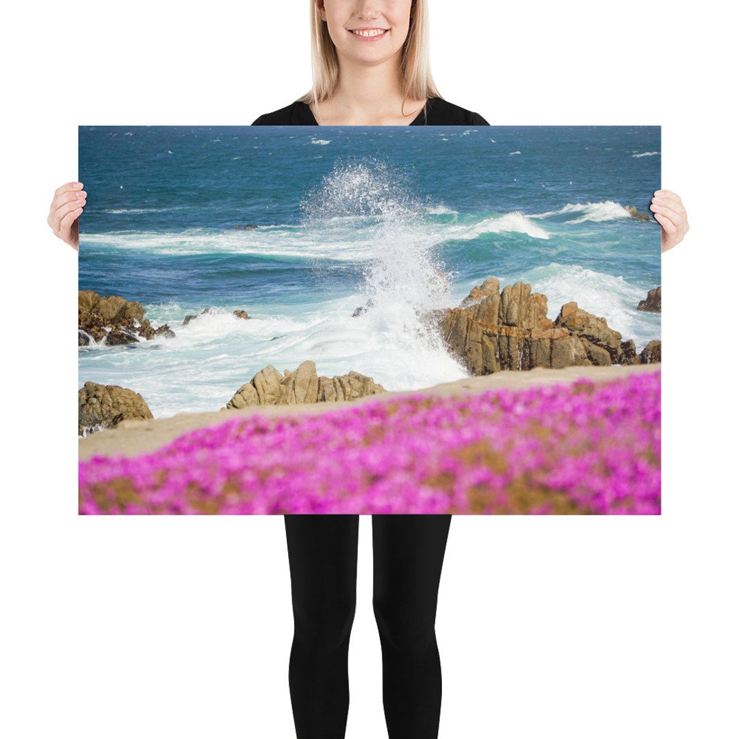 Magic Carpet Pacific Grove California Photography Print Asilomar Beach Lovers Point Landscape