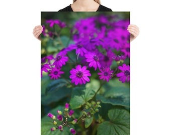 Purple Flowers Photography Print - Summer Garden Landscape Wall Art - Flower Photography - Nature Poster - Botanical Floral Wall Art