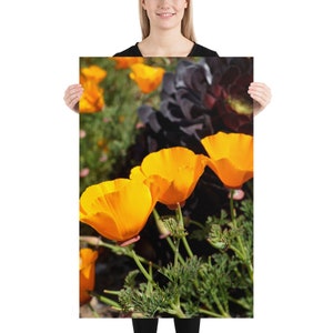 Orange California Poppies Fotografie Druck - Garten Landschaft Wand Kunst - Blumen Fotografie - Natur Poster - Botanische Blumen Wand Kunst