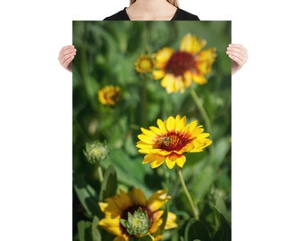 Yellow Flowers Photography Print - Summer Garden Landscape Wall Art - Flower Photography - Nature Poster - Botanical Floral Wall Art