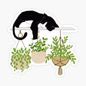Adesivos de gatos e plantas, presente para senhora dos gatos, presente para mãe de gatos, adesivo para amante de gatos, adesivo fofo para amante de plantas