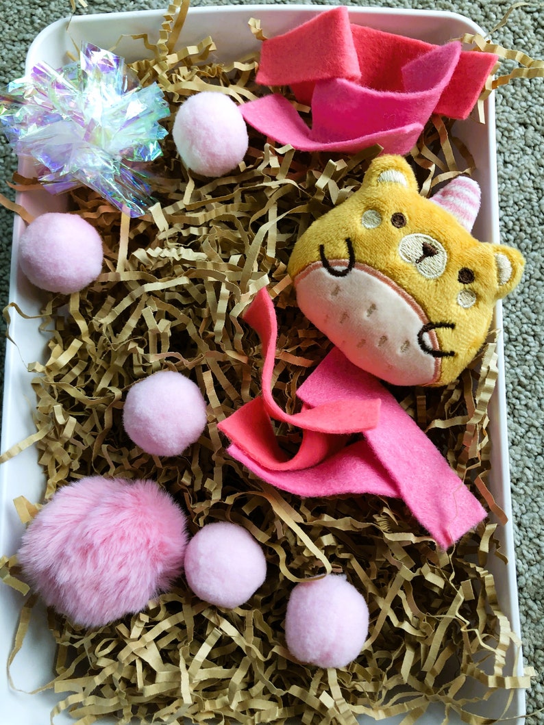 Hedgehogs Dig Box Small Dig Box for Hedgehogs Enrichment Etsy