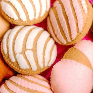 Felt Conchas