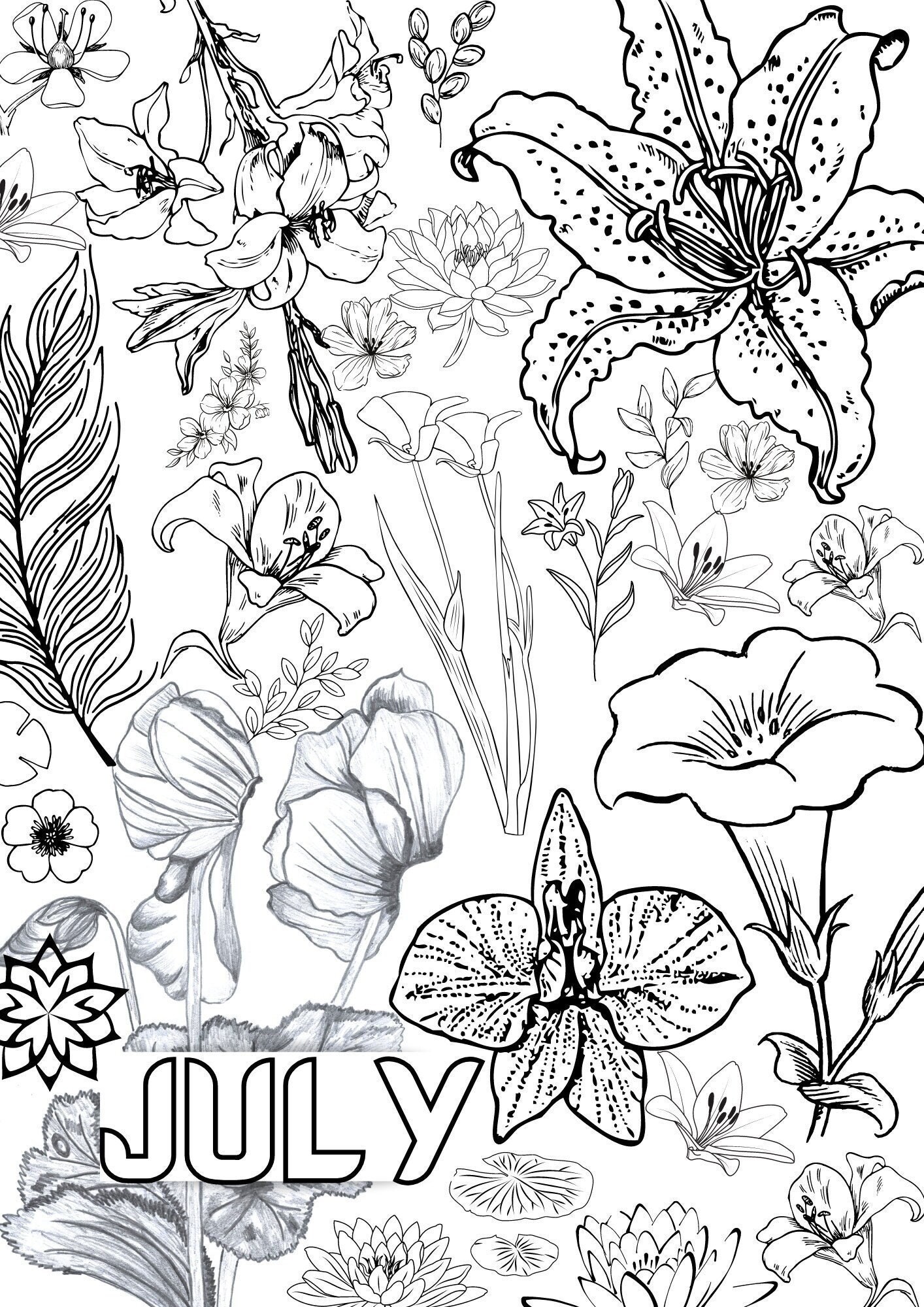 July Birth Flower Coloring Page Printable Coloring Page | Etsy