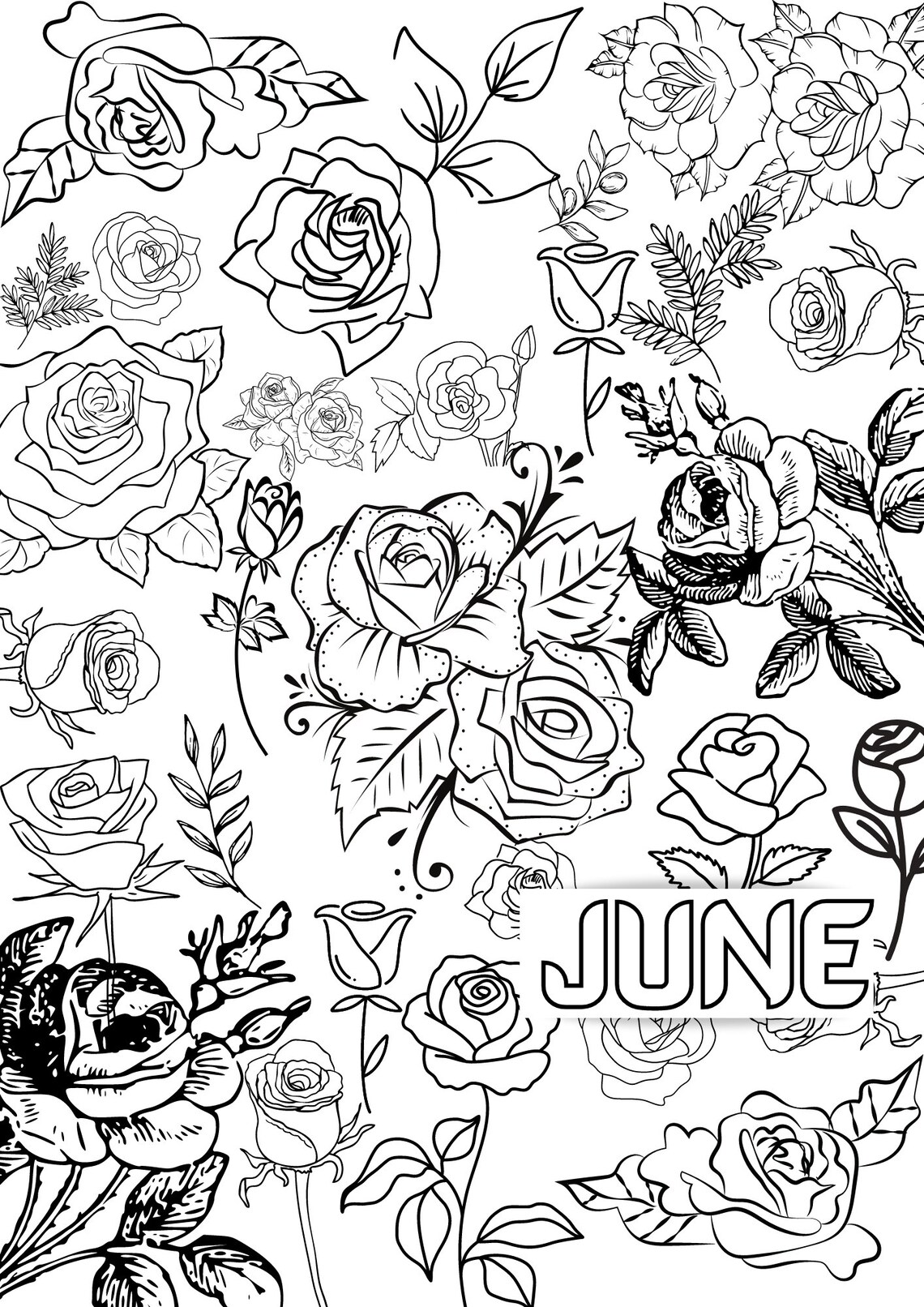 June Birth Flower Coloring Page Printable Coloring Page - Etsy