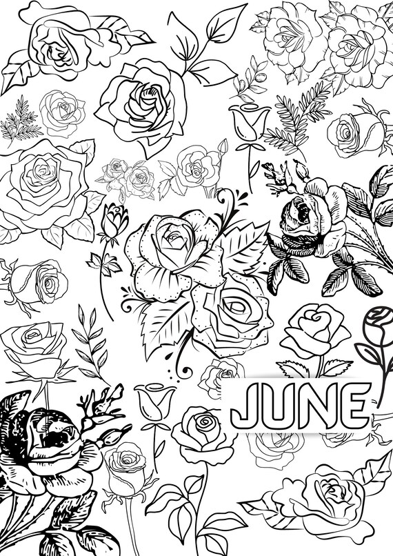june birth flower coloring page printable coloring page etsy