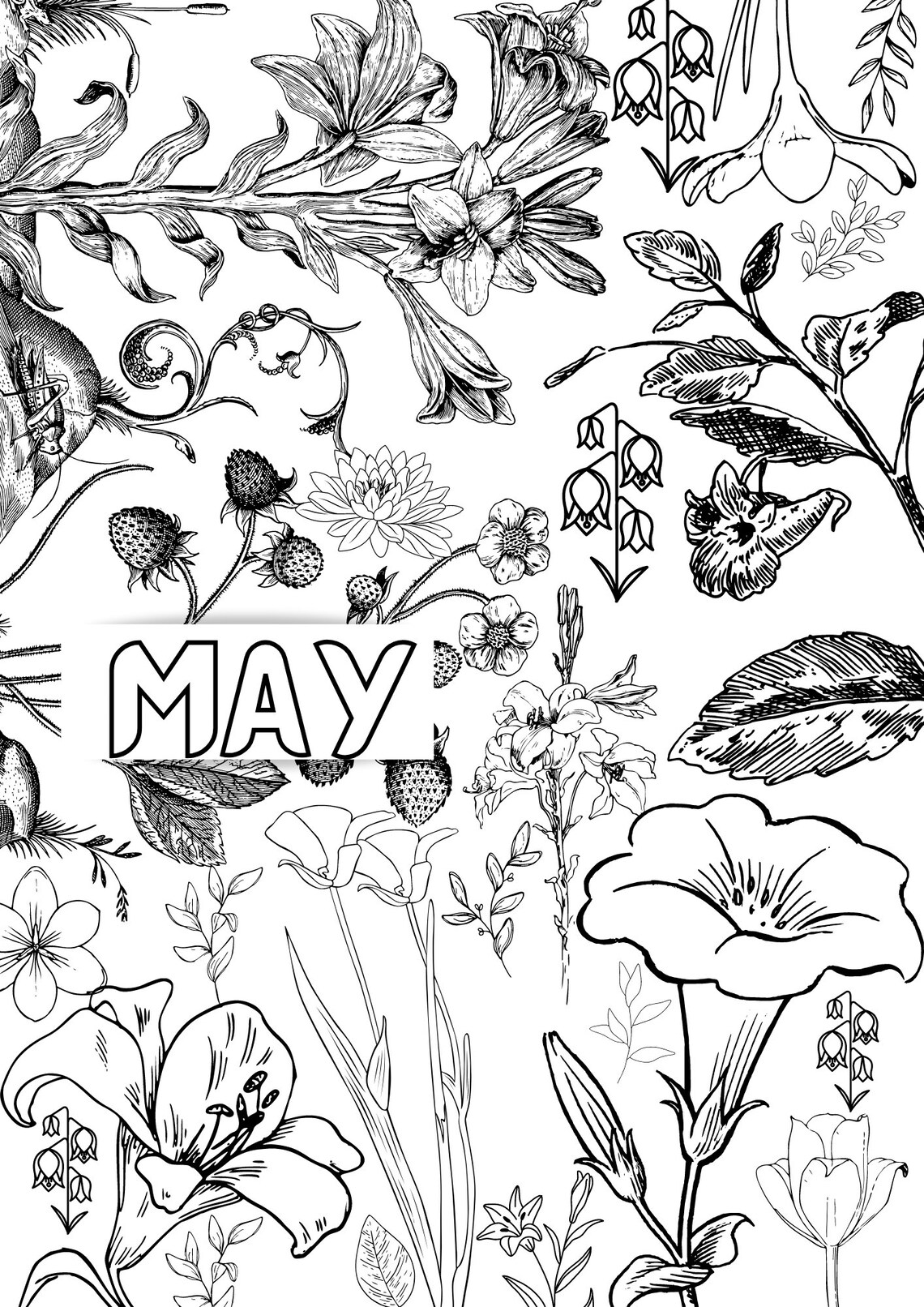 May Birth Flower Coloring Page Printable Coloring Page Birth Etsy
