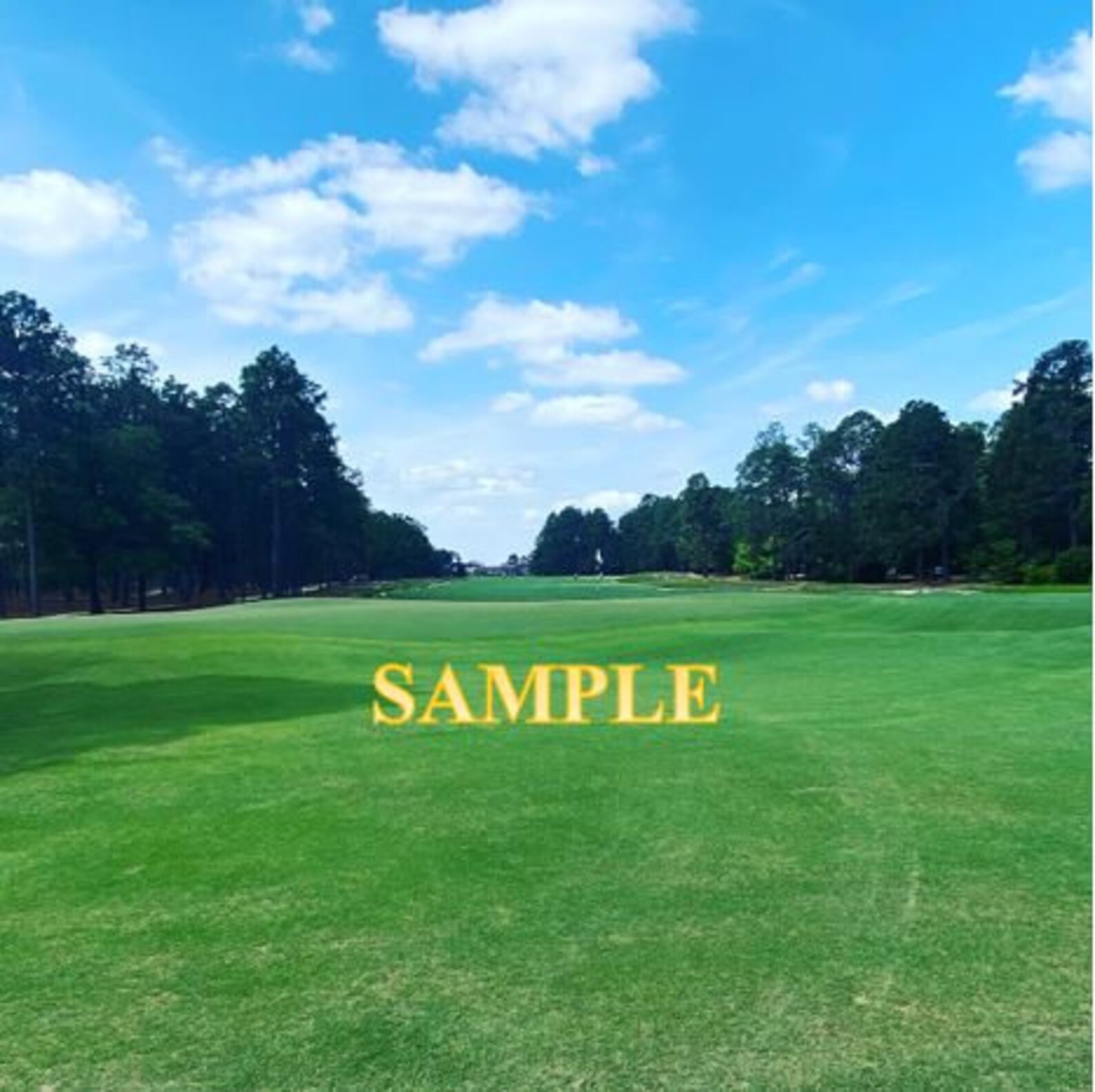 Golf Zoom Background Etsy UK