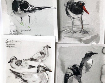 Set of 4 Devon Seabird postcards